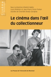 Le cinéma dans l